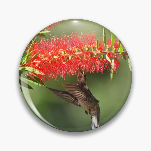 Item preview, Backstroke Hummer designed and sold by LisaWootenPhoto.