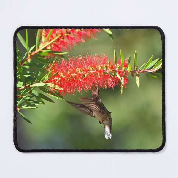 Item preview, Backstroke Hummer designed and sold by LisaWootenPhoto.