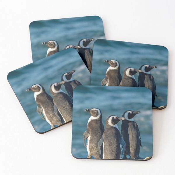 Item preview, Photograph of Three African Penguins designed and sold by SecondsOnEarth.