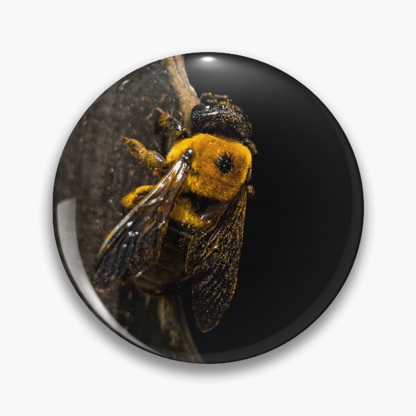 Item preview, Carpenter bee covered in pollen designed and sold by jcahblah.