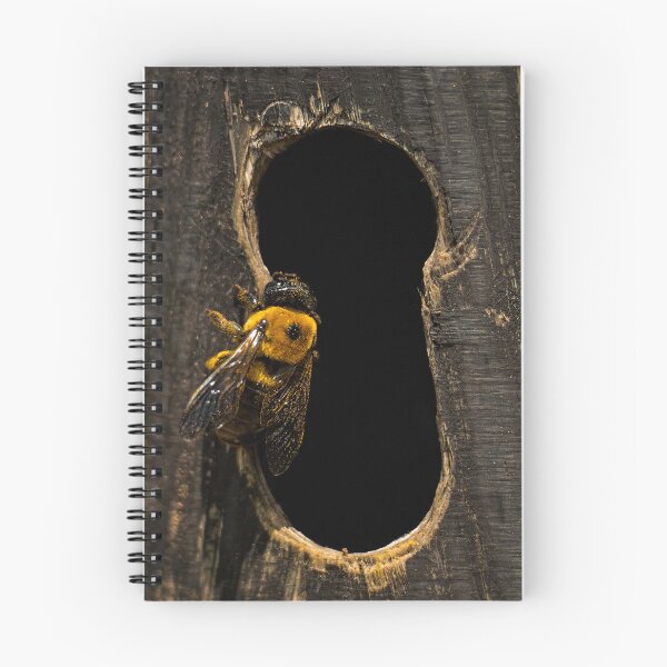 Item preview, Carpenter bee covered in pollen designed and sold by jcahblah.