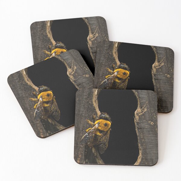 Item preview, Carpenter bee covered in pollen designed and sold by jcahblah.