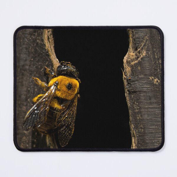 Item preview, Carpenter bee covered in pollen designed and sold by jcahblah.