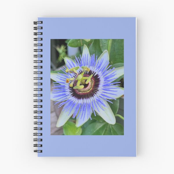 Item preview, Passion Flower  designed and sold by Rissaaliya.