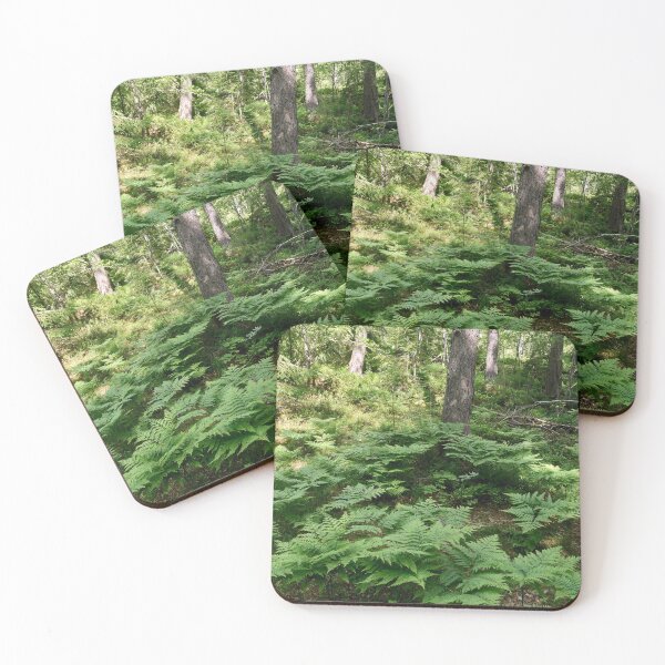 Item preview, Male fern forest designed and sold by Jouko Lehto Photography.