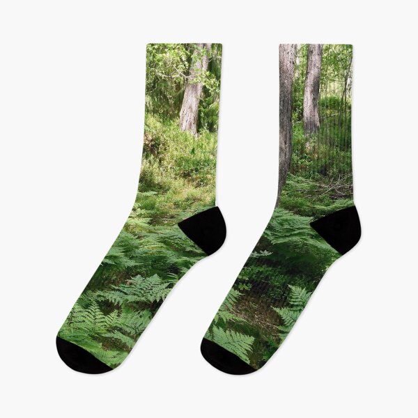 Item preview, Male fern forest designed and sold by Jouko Lehto Photography.