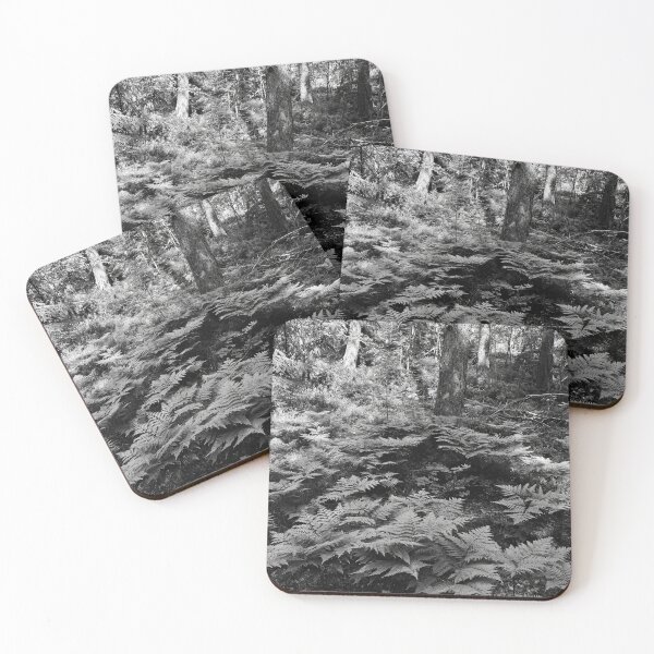 Item preview, Male fern forest bw designed and sold by Jouko Lehto Photography.