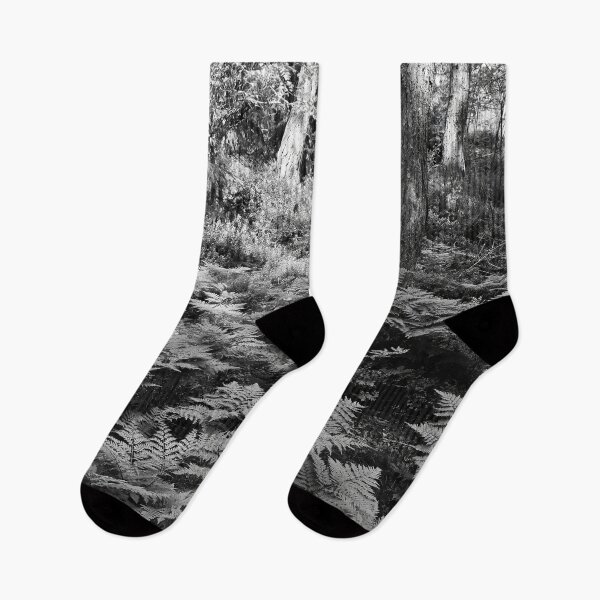 Item preview, Male fern forest bw designed and sold by Jouko Lehto Photography.