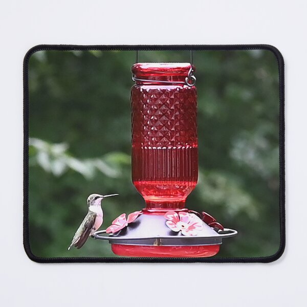 Item preview, Hummingbird at the Bird Feeder (#2) designed and sold by nikkolaus.