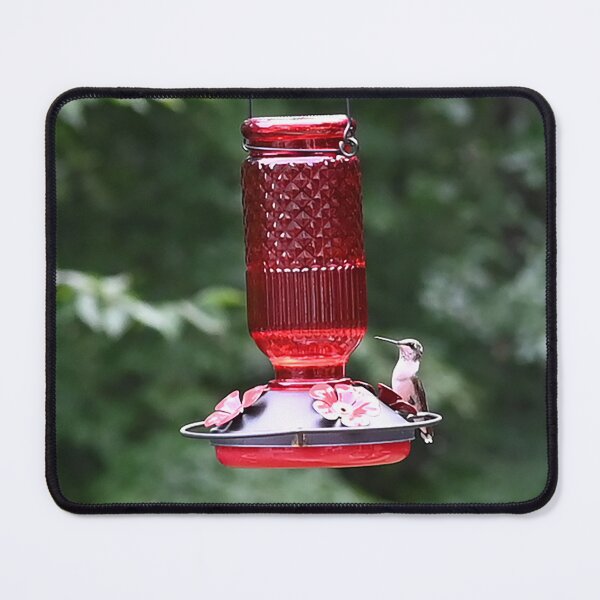 Item preview, Hummingbird at the Bird Feeder (#3) designed and sold by nikkolaus.