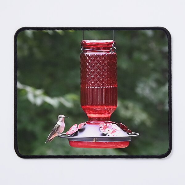 Item preview, Hummingbird at the Bird Feeder designed and sold by nikkolaus.