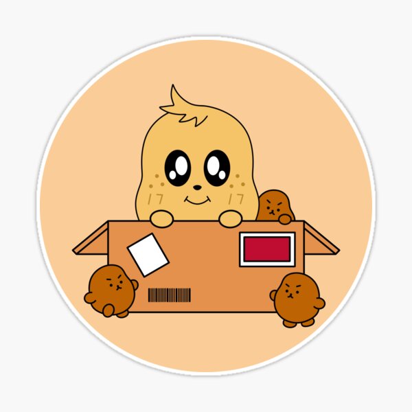 st,large,507x507-pad,600x600,