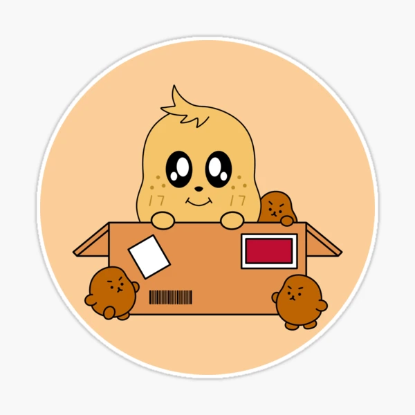 st,large,507x507-pad,600x600,