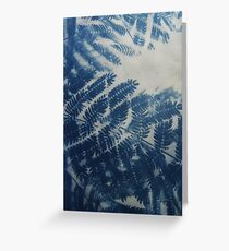 Fern Cyanotype Greeting Card