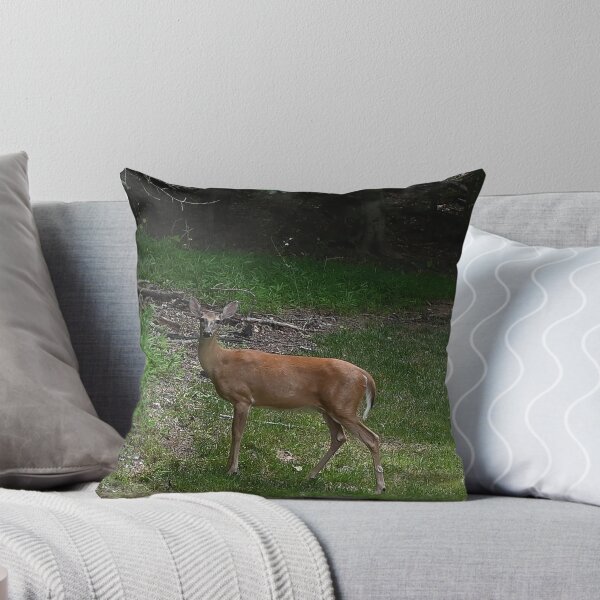 Item preview, Curious Doe at the Forest Edge designed and sold by nikkolaus.