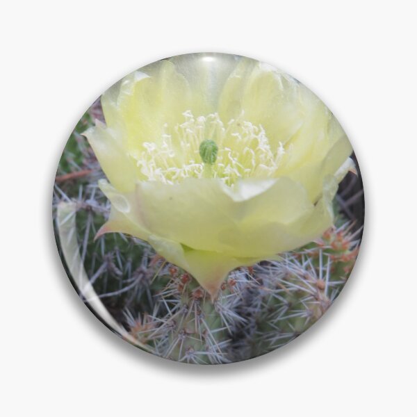 Item preview, Grizzly Bear Cactus Flower designed and sold by Eclectically-Kimberly.