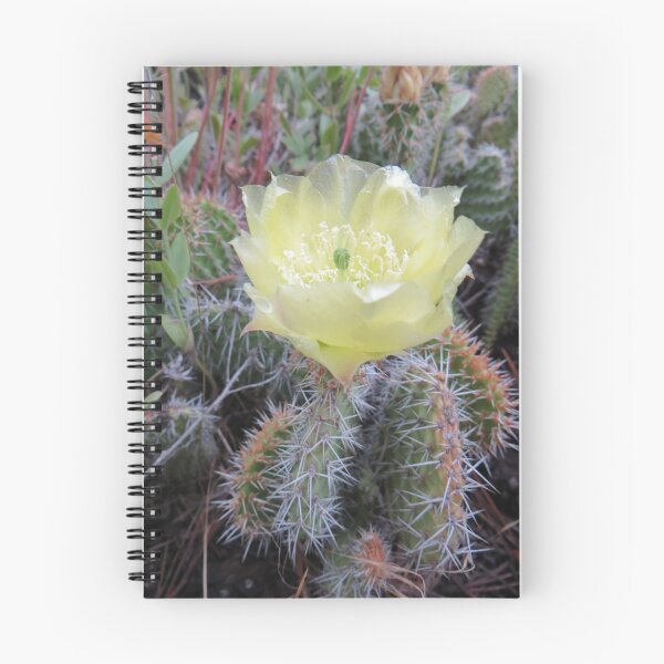 Item preview, Grizzly Bear Cactus Flower designed and sold by Eclectically-Kimberly.