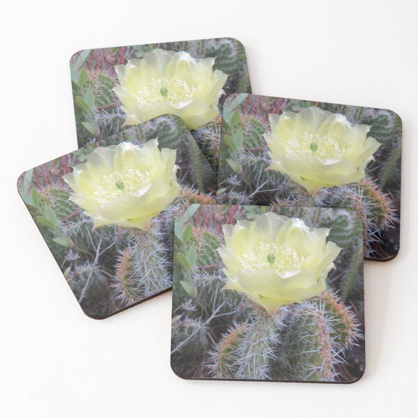 Item preview, Grizzly Bear Cactus Flower designed and sold by Eclectically-Kimberly.