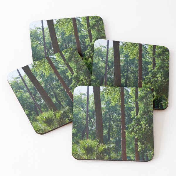 Item preview, Forest Landscape in Florida designed and sold by Phakade's Photos.