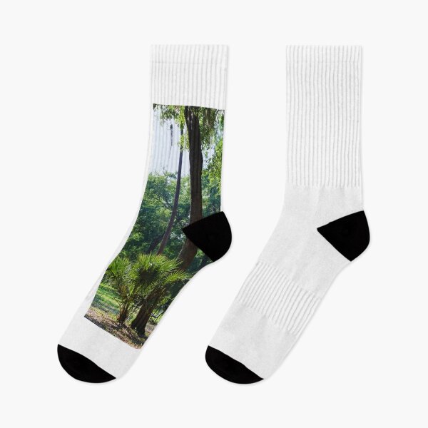 Item preview, Forest Landscape in Florida designed and sold by Phakade's Photos.