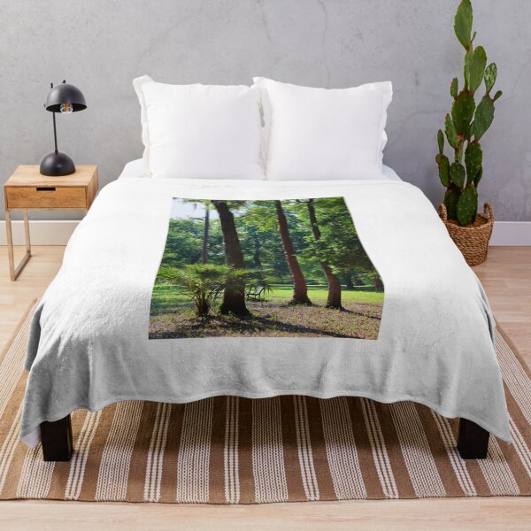 Item preview, Forest Landscape in Florida designed and sold by Phakade's Photos.