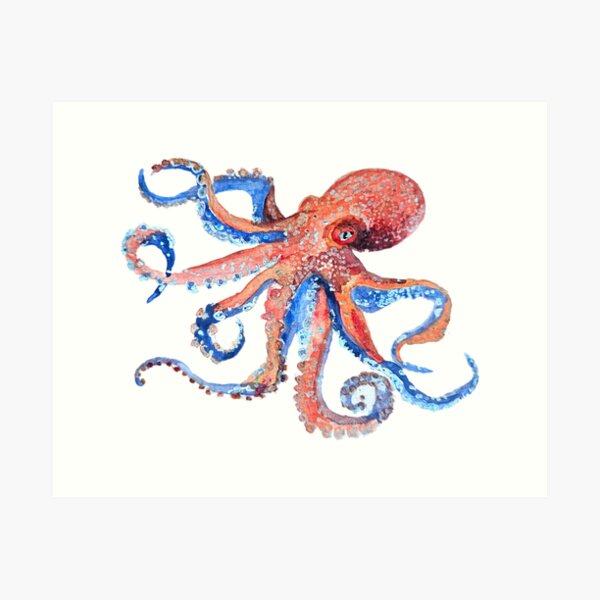 Item preview, Octopus sp. designed and sold by elenaourania.