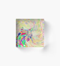 Hiding in color swirl Acrylic Block
