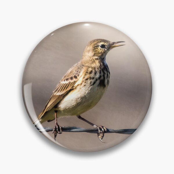 Item preview, Pipit Bird designed and sold by CarolM.