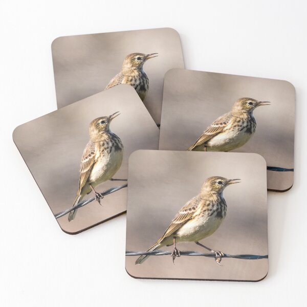 Item preview, Pipit Bird designed and sold by CarolM.