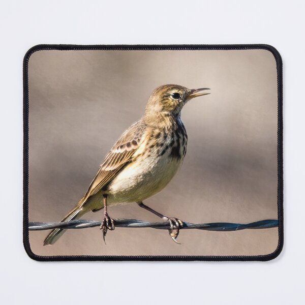 Item preview, Pipit Bird designed and sold by CarolM.