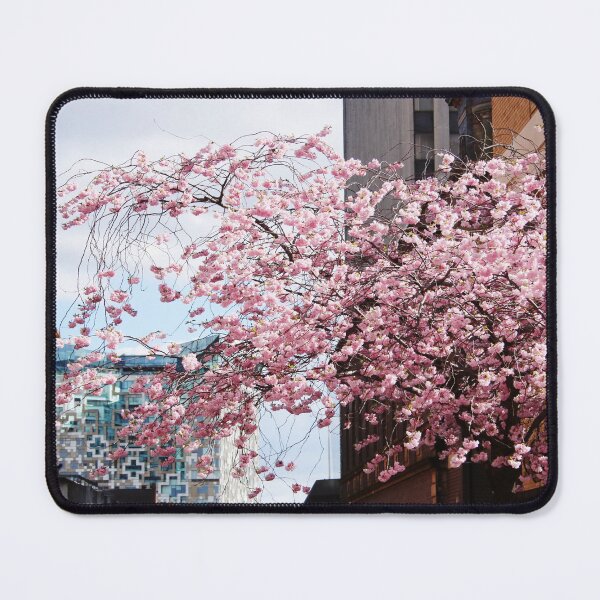Item preview, Blossom in Oozells Square designed and sold by Rachel J Bowler.