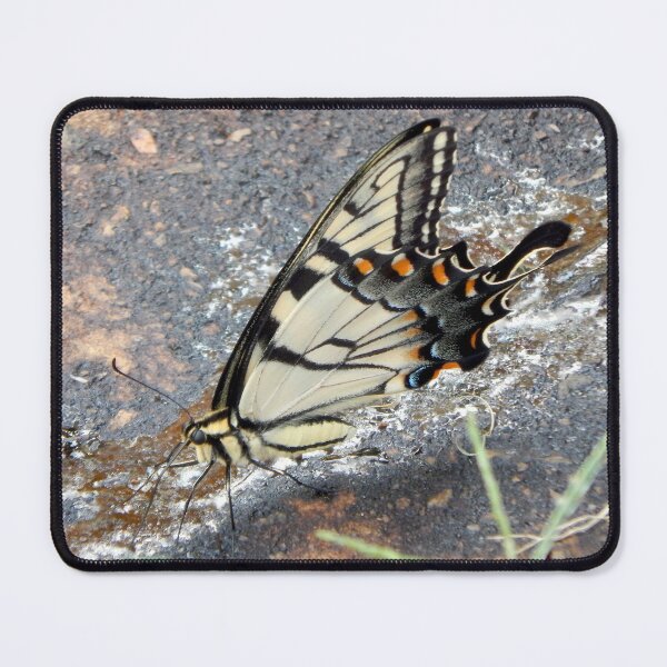 Item preview, Eastern Tiger Swallowtail from Side designed and sold by gistinker.