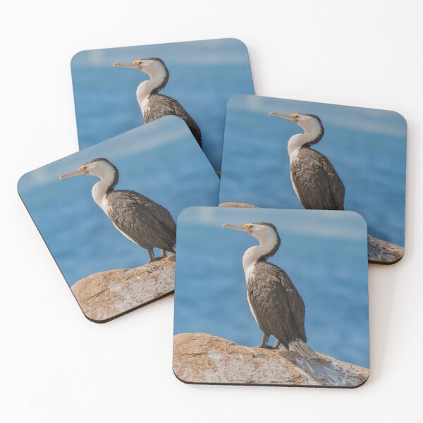 Item preview, Seaside Cormorant in the Breeze designed and sold by TWphotographs.