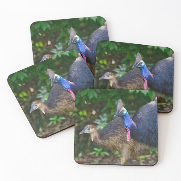 Item preview, Cassowary family designed and sold by Dean Jewell.