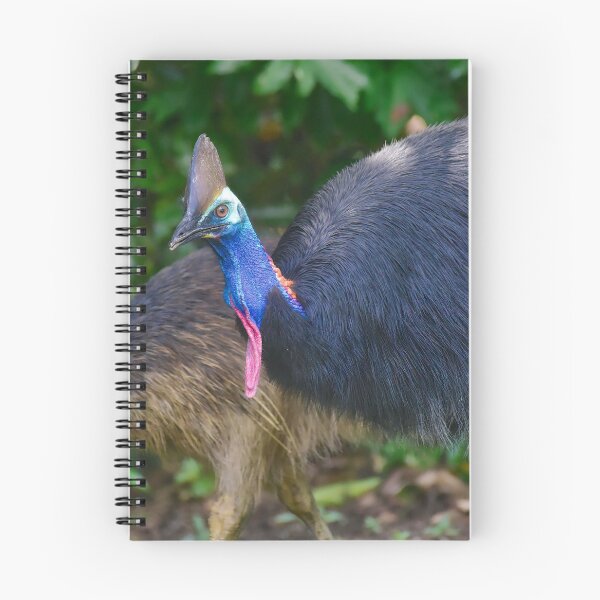 Item preview, Cassowary family designed and sold by Dean Jewell.