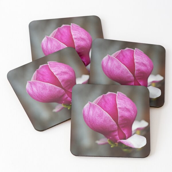 Item preview, Magnolia Petals Are Book Matched designed and sold by Joy Watson - Natural Light Photography .