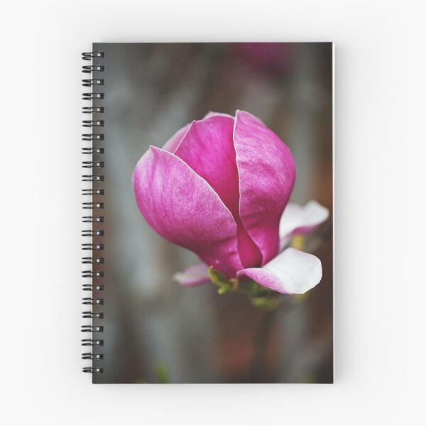 Item preview, Magnolia Petals Are Book Matched designed and sold by Joy Watson - Natural Light Photography .