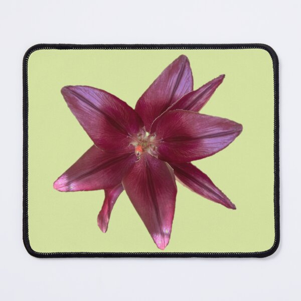Item preview, Fantasy Lily designed and sold by Amanda1775.