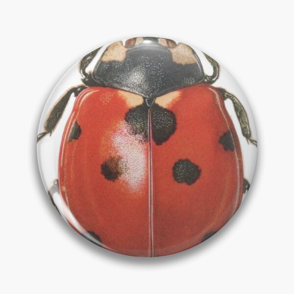Artikelvorschau, Lady Bug entworfen und verkauft von Gracelandtoomae.