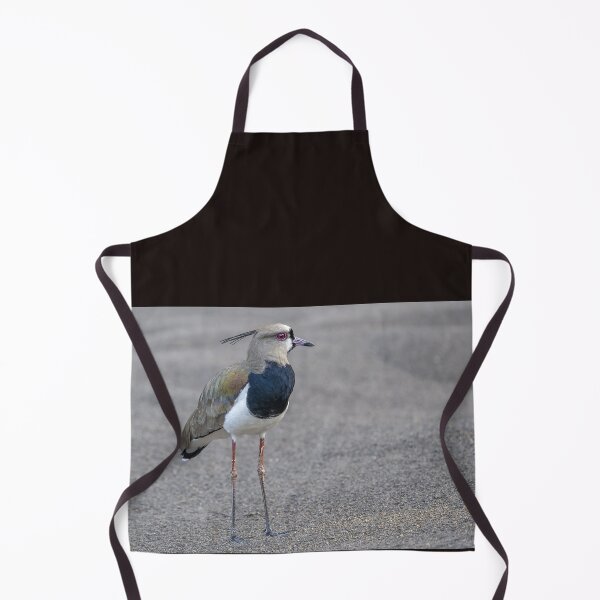 Item preview, Southern lapwing at the beach ! designed and sold by Puttaswamy Ravishankar.