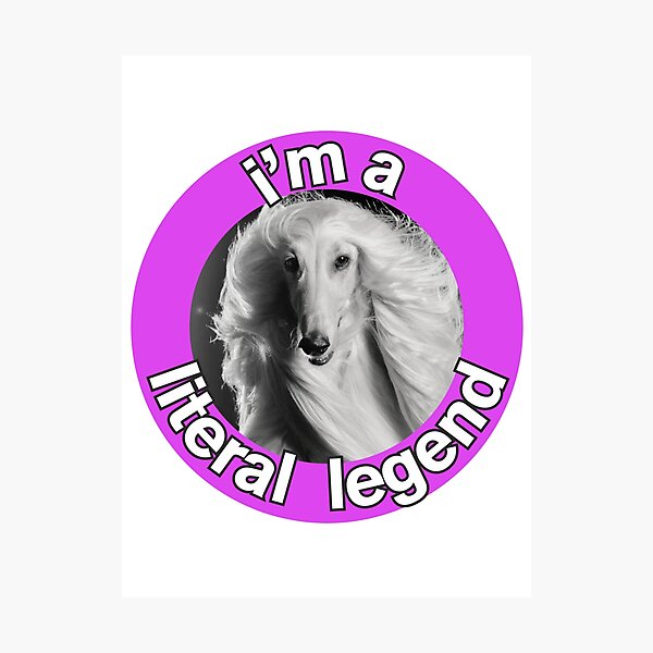 Item preview, I'm a literal legend designed and sold by p20designs.