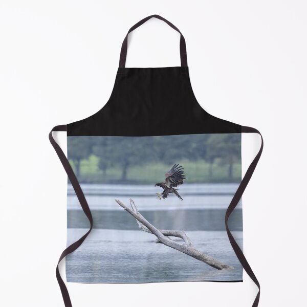 Item preview, Juvenile Bald eagle landing practice session! designed and sold by Puttaswamy Ravishankar.