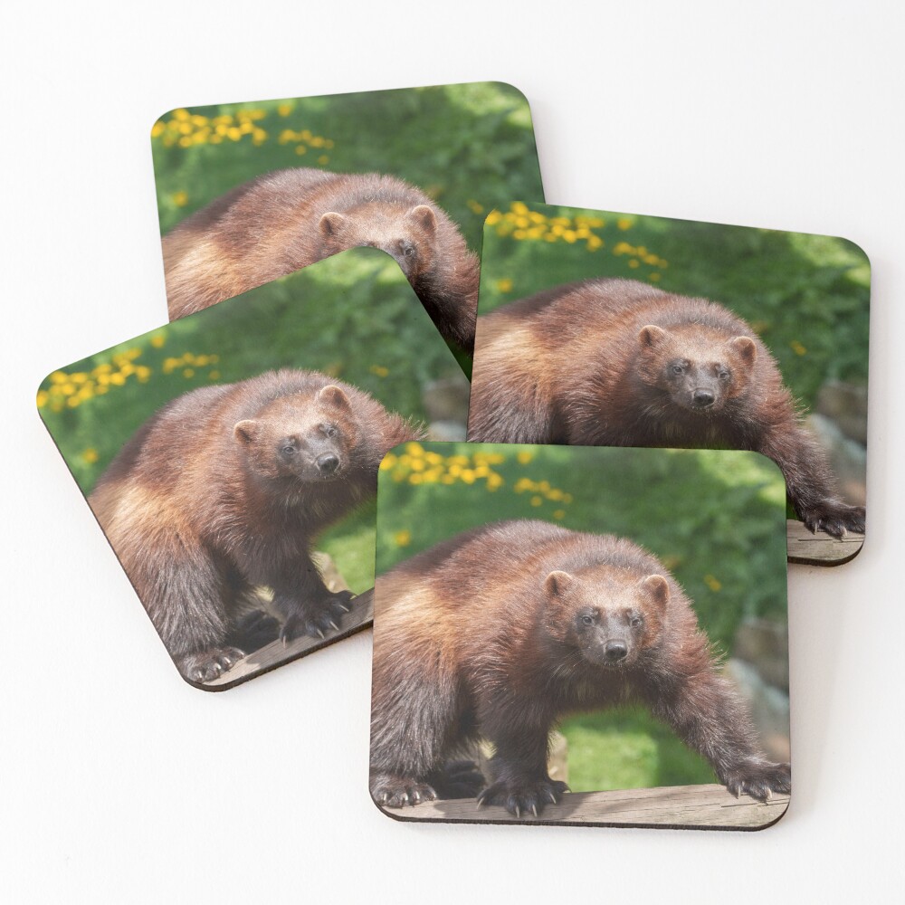 Item preview, Coasters (Set of 4) designed and sold by rawshutterbug.