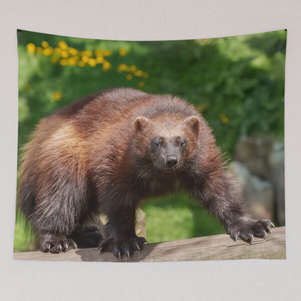 Item preview, Wolverine designed and sold by rawshutterbug.