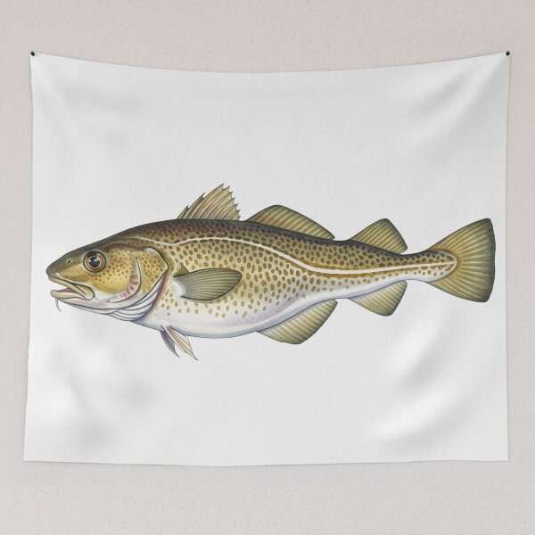 Item preview, Atlantic Cod  designed and sold by 4rtistcDrift.