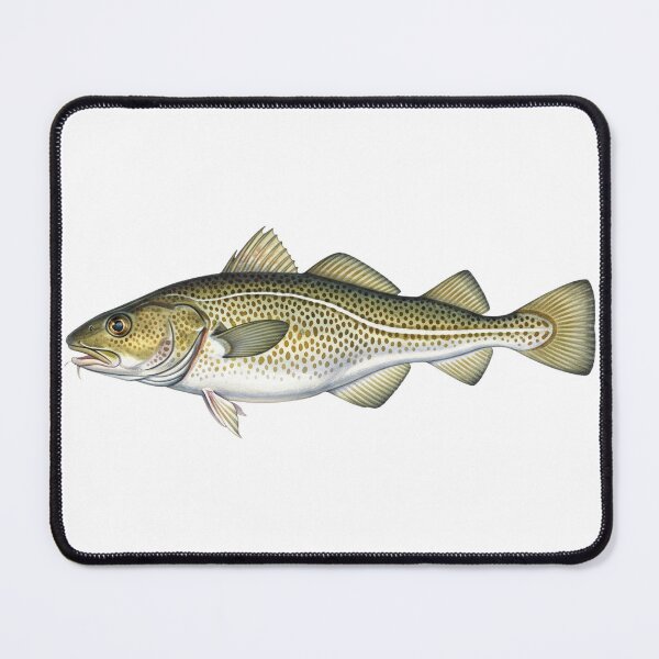 Item preview, Atlantic codfish designed and sold by 4rtistcDrift.