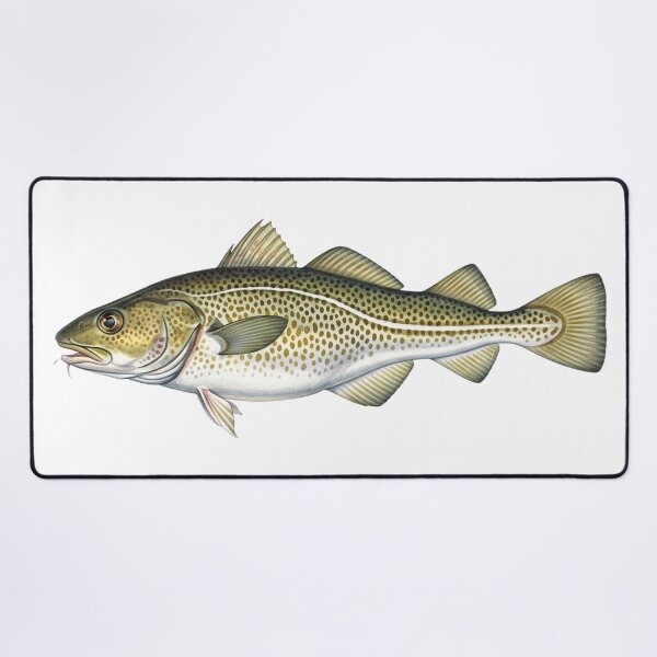 Item preview, Atlantic codfish designed and sold by 4rtistcDrift.