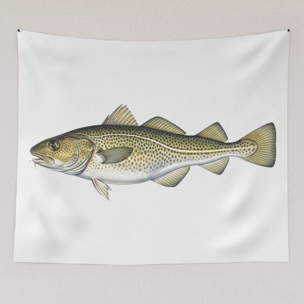 Item preview, Atlantic codfish designed and sold by 4rtistcDrift.