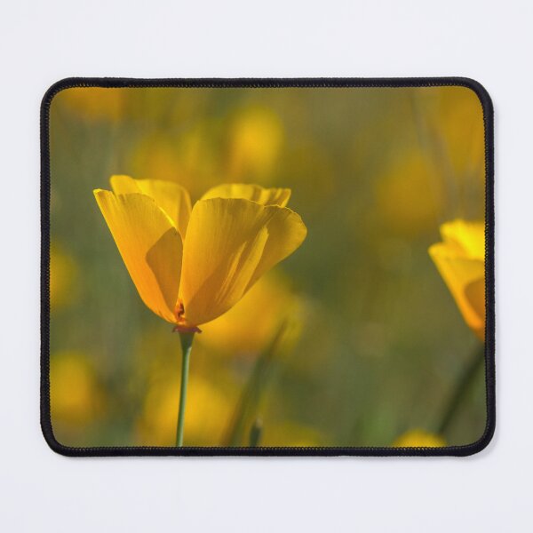 Item preview, Poppy designed and sold by Kristin Yata.