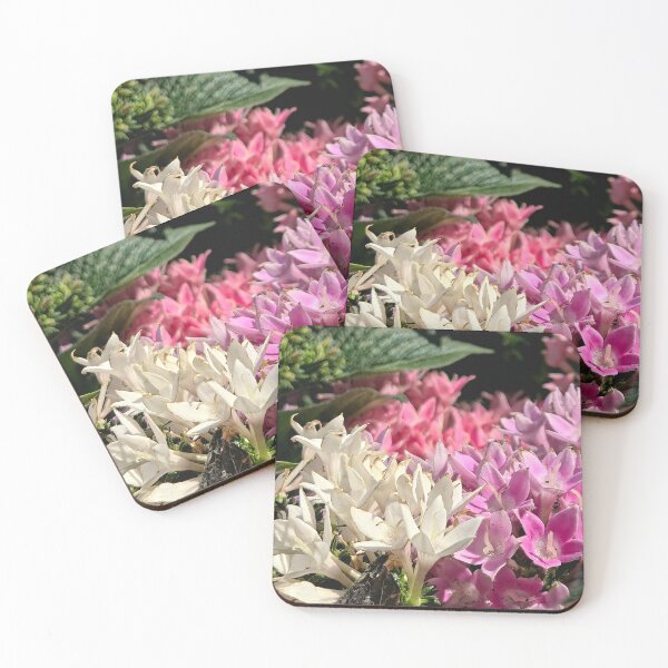 Item preview, Paleta de la naturaleza designed and sold by Betsy Phillips.